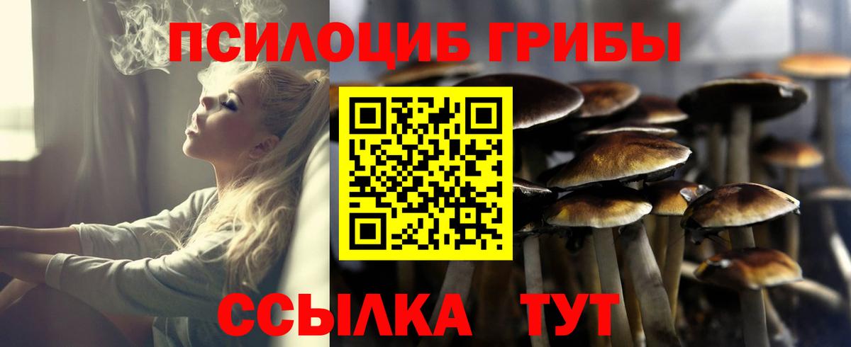 Галлюциногенные грибы мицелий Видное